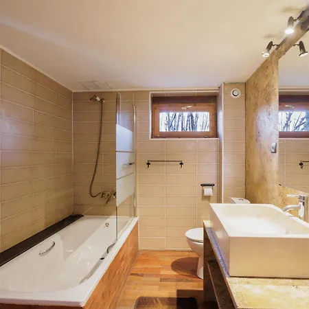 Ricart Chalet Puigcerda