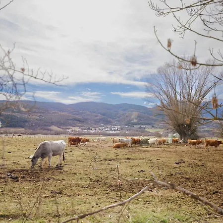 Domek alpejski Ricart Puigcerdà