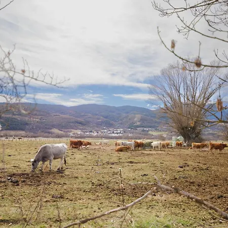 Ricart Horská chata Puigcerdà