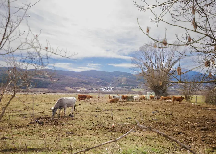 Chalet Ricart Puigcerdà