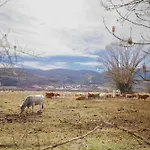 Alpehytte Ricart Puigcerdà