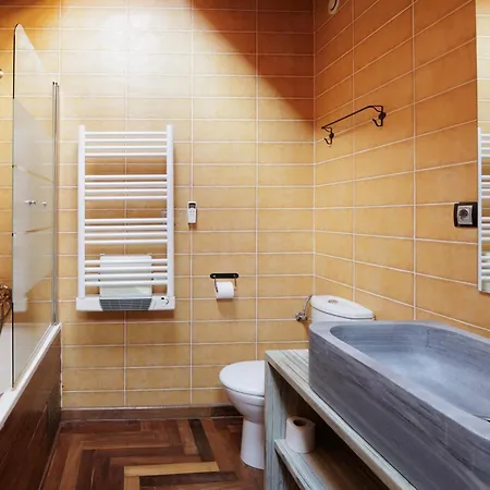 Chalet Ricart Puigcerda