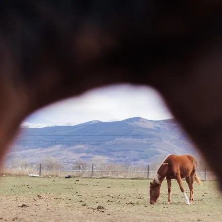 Ricart